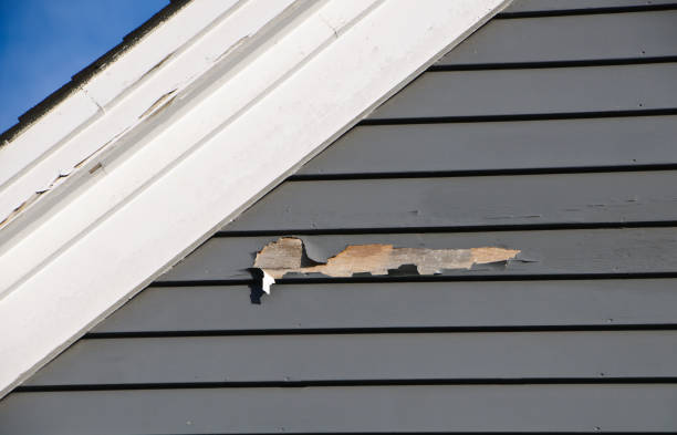 Best Fascia and Soffit Installation  in , MA